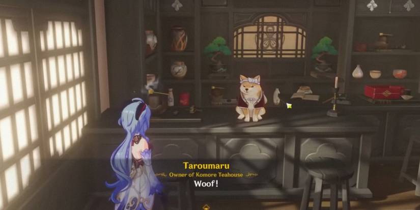 taroumaru the dog in genshin impact