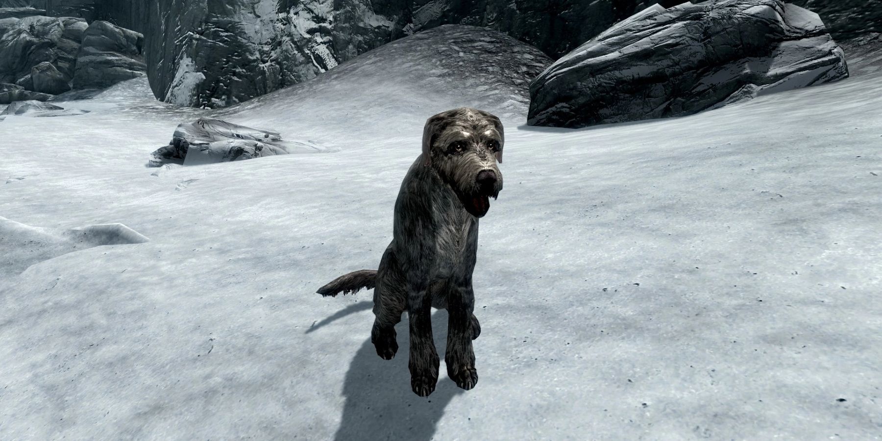 Image from The Elder Scrolls 5 Skyrim showing a dog on a snowy plain.