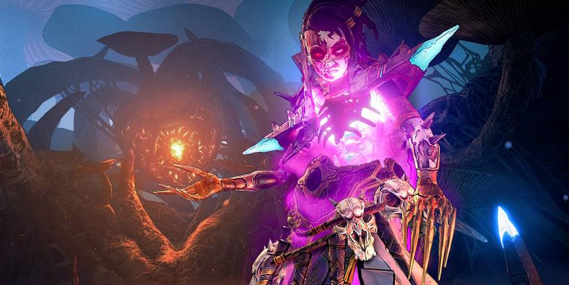 tiny tinas wonderlands magic user