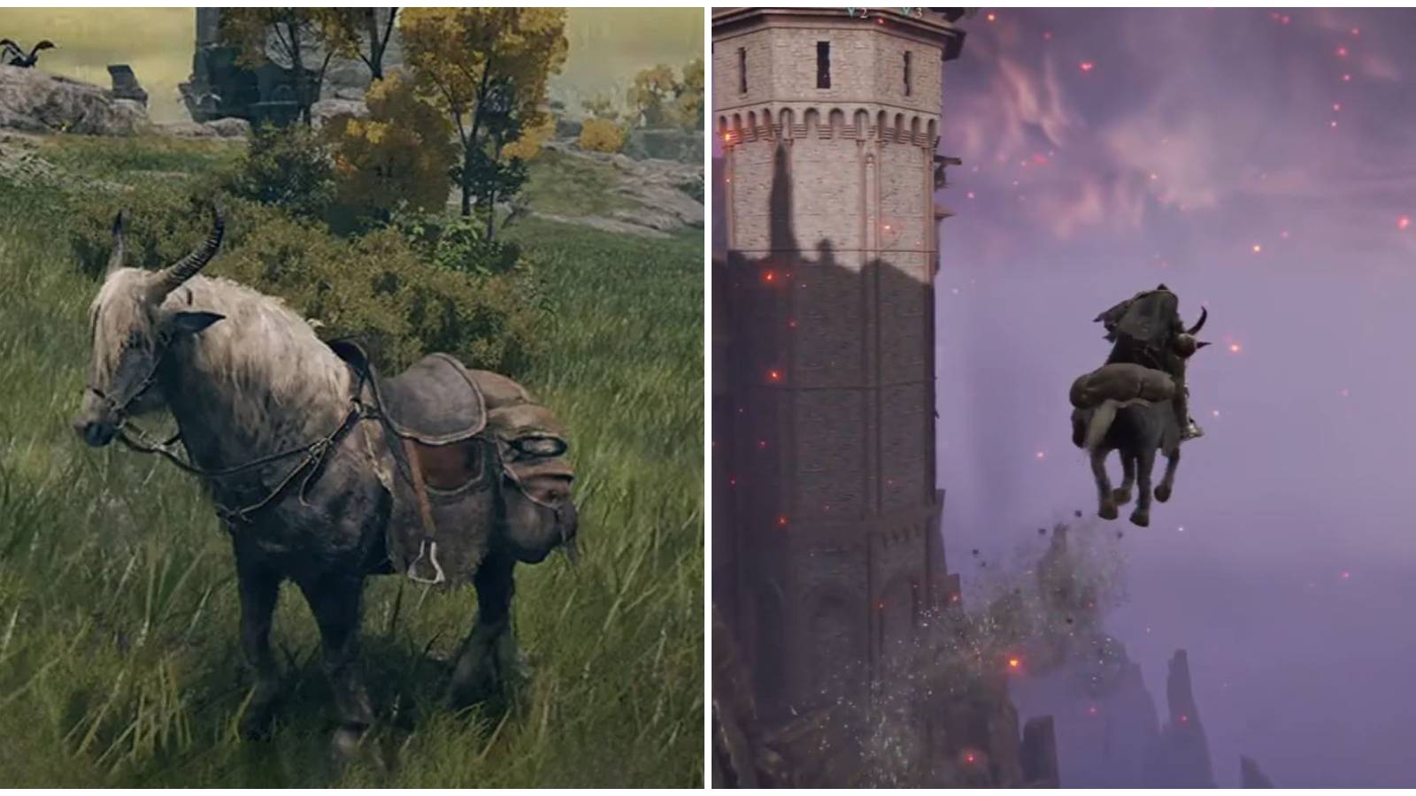 elden ring torrent memes