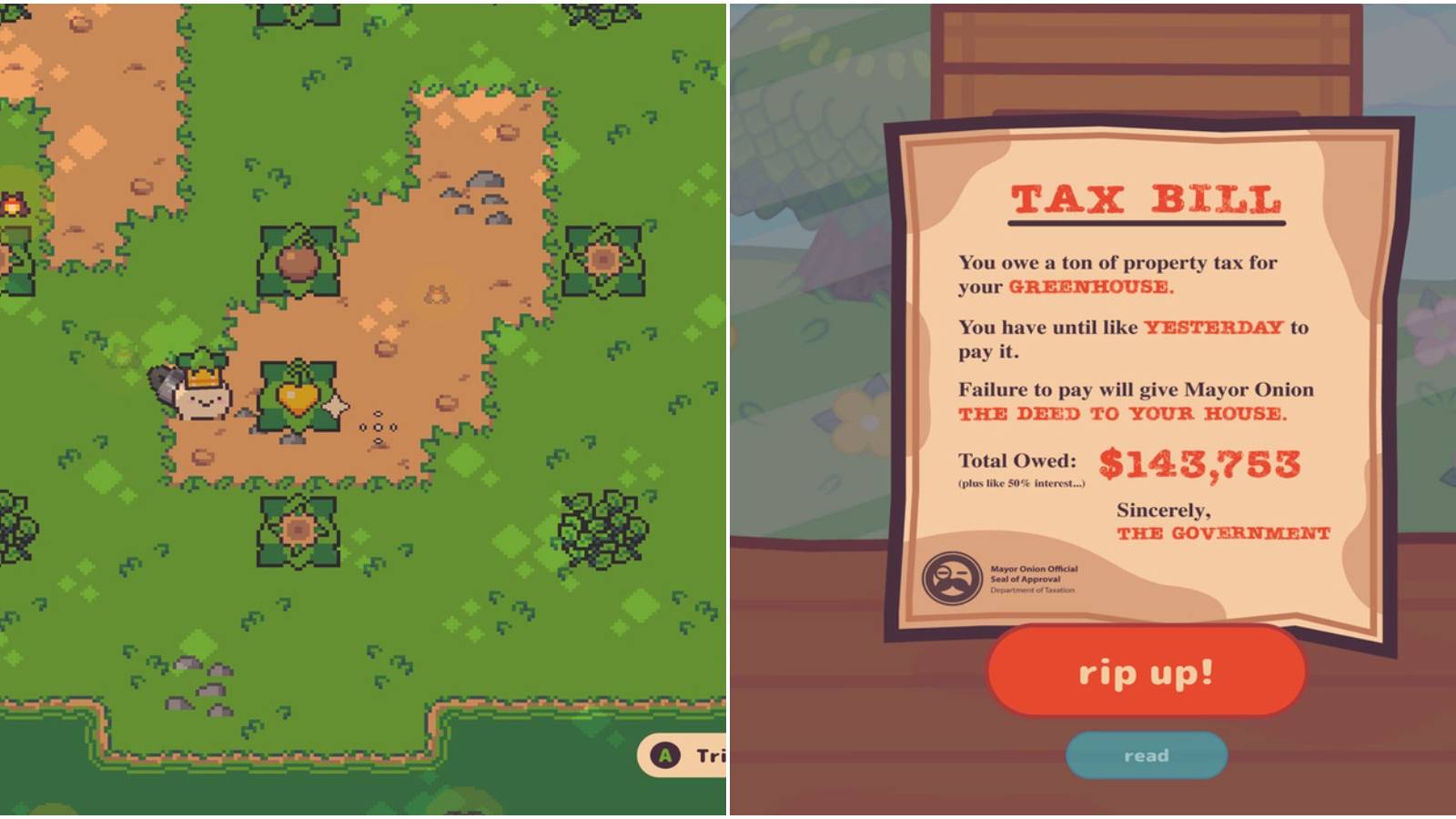 (Left) Heart plant (Right) Tax bill