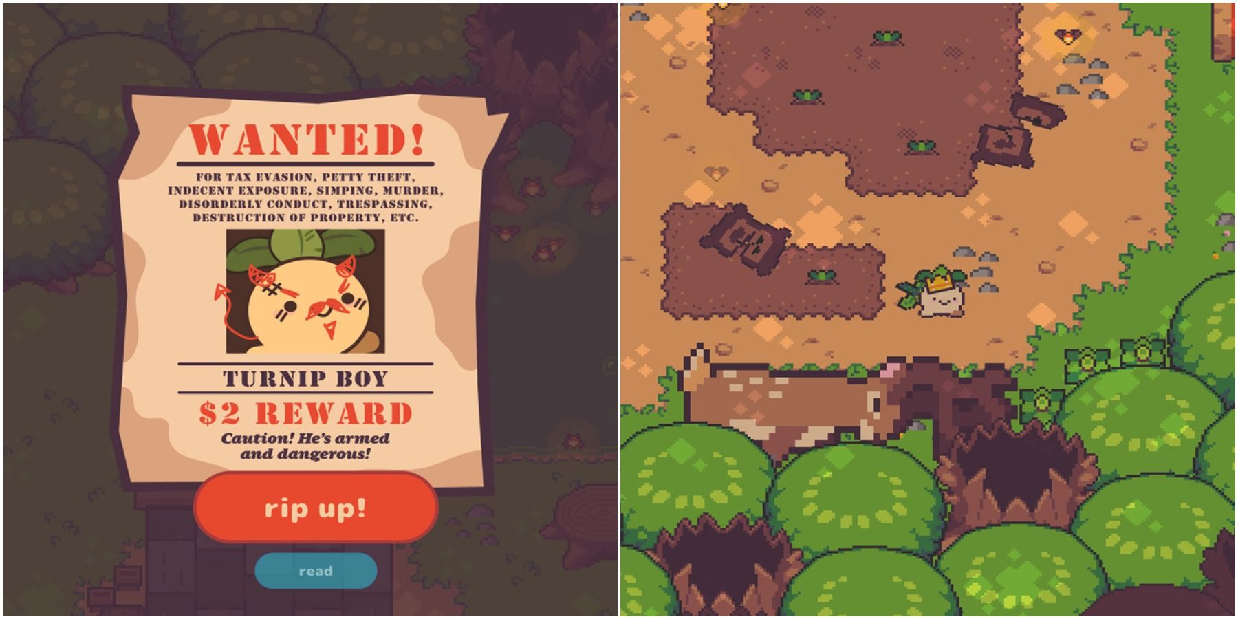 (Left) Wanted poster (Right) Turnip Boy in a forest