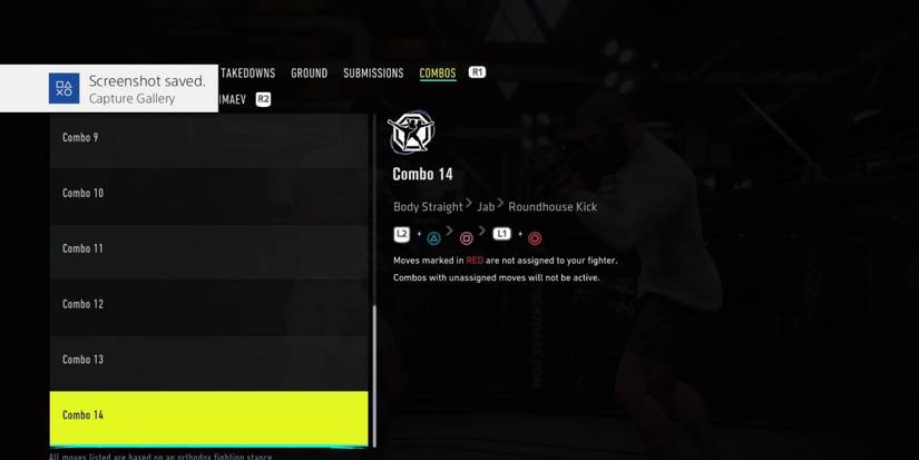 A Body Straight, Jab, Roundhouse Kick kickboxing combination on UFC 4.