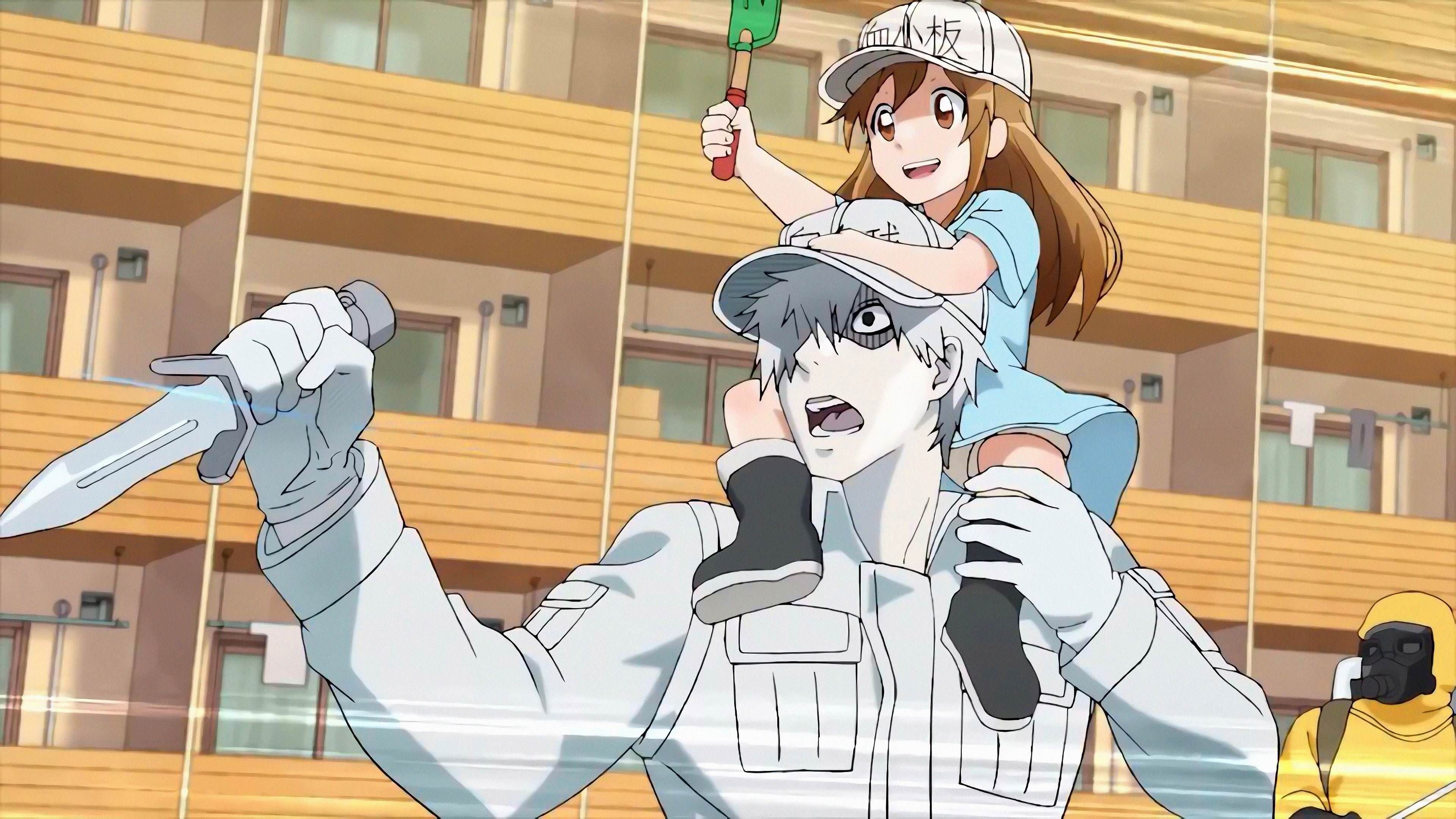 white blood cell and platelet cells at work