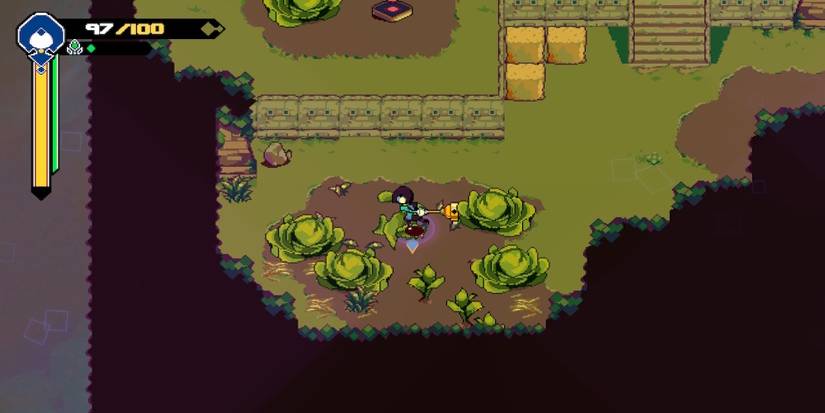 Exploring the world in Anuchard