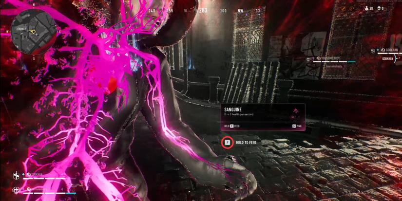 A Mortal Aura denoting Blood Resonance