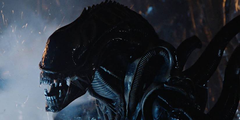 A Xenomorph In Alien