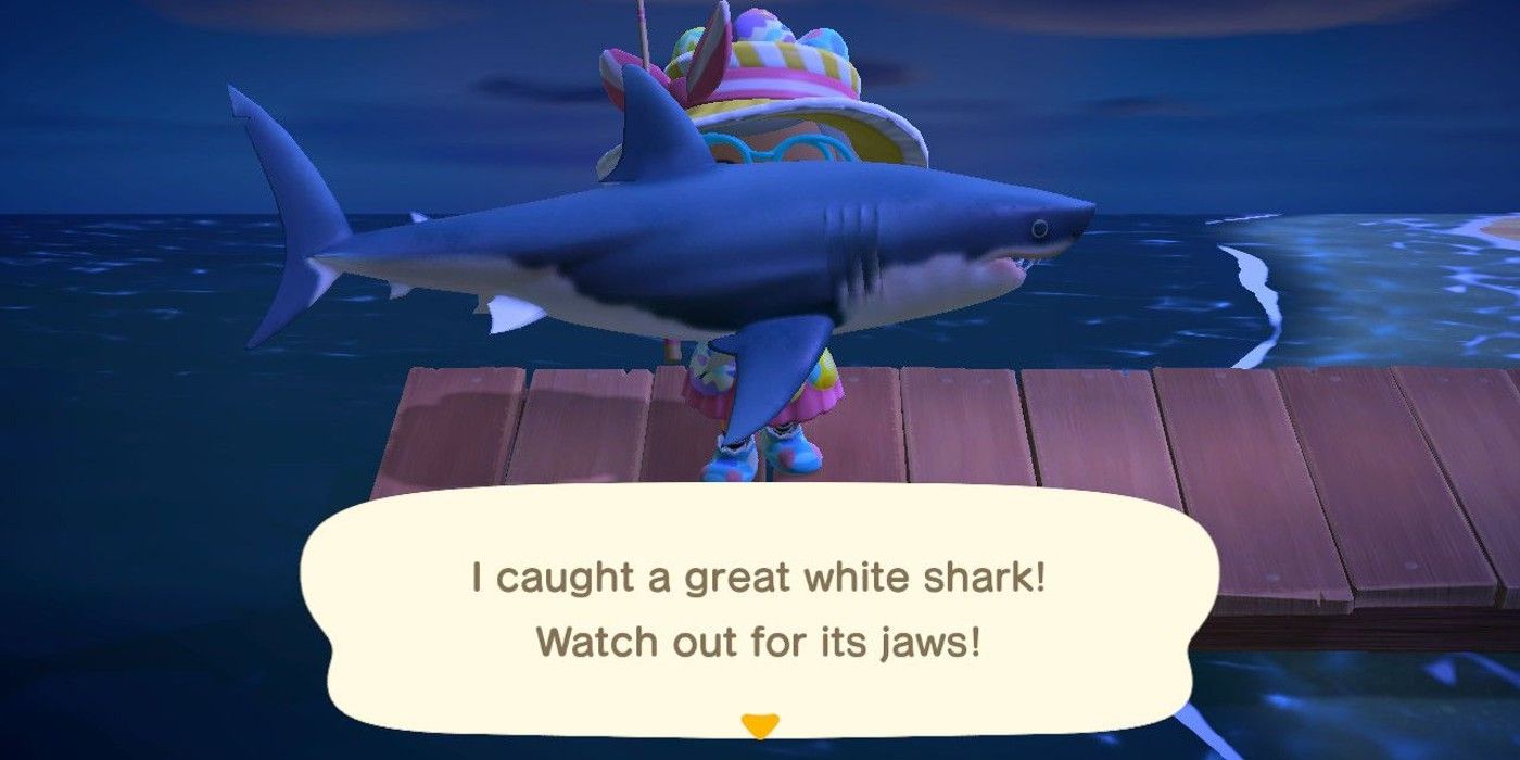 Animal Crossing New Horizons Great White Shark caught on the dock at night