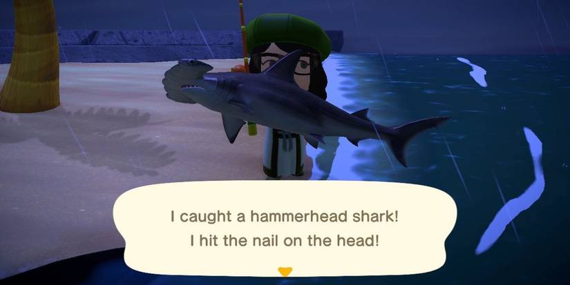 Animal Crossing New Horizons Hammerhead getting caught in the rain