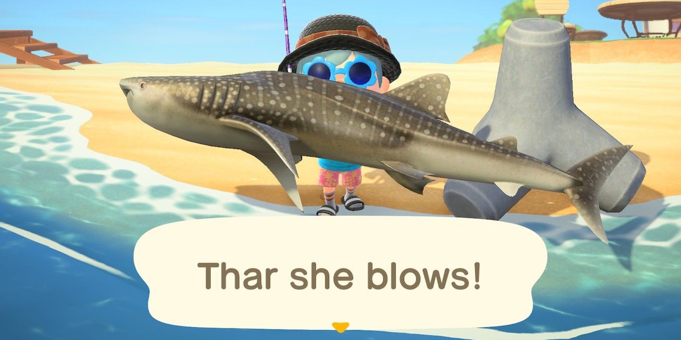 Animal Crossing New Horizons Whaleshark caught on the beach