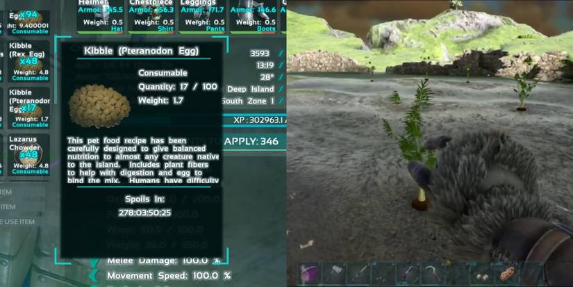 Kibble and Rockarrot