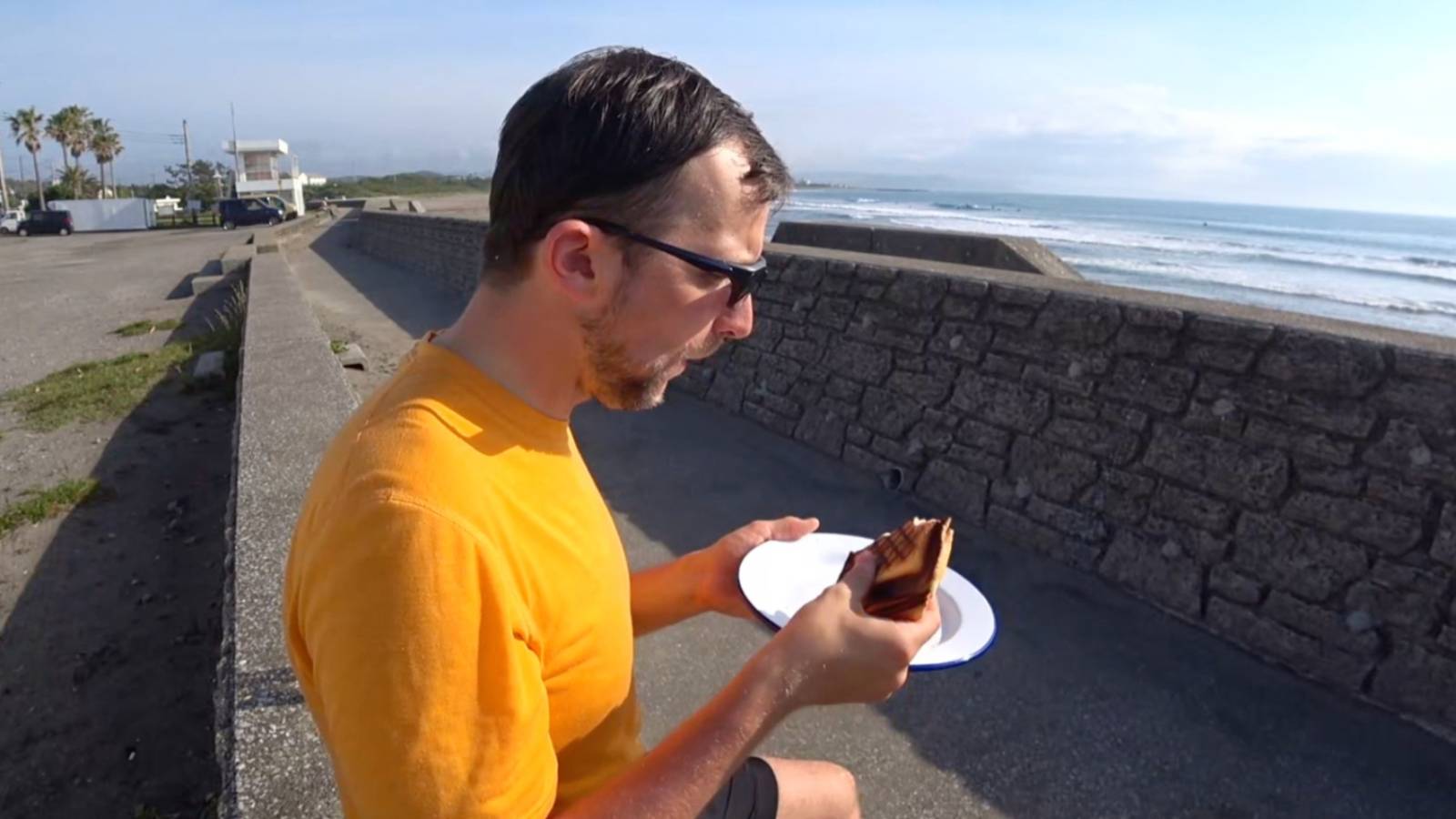 Bird Steals Food Out of Hands of IRL Twitch Streamer