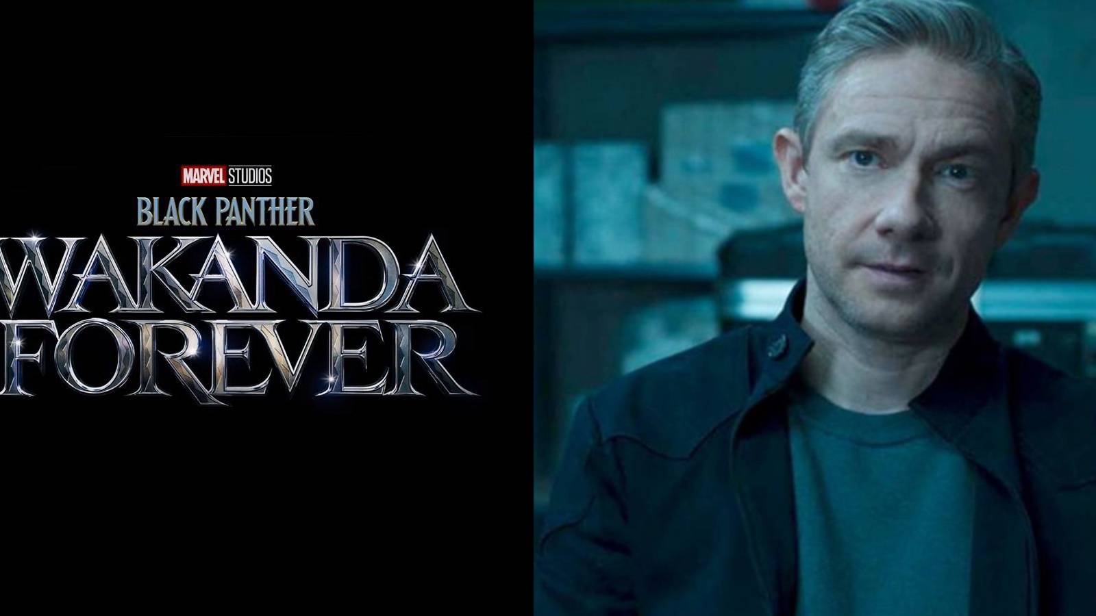 Black Panther Wakanda Forever Martin Freeman