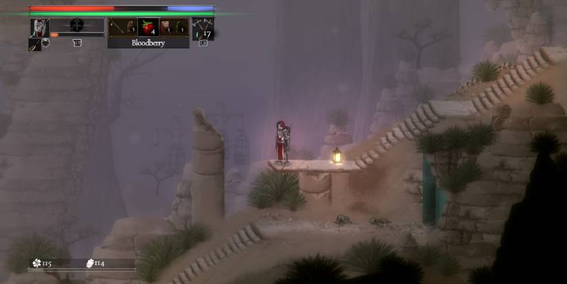 Character Selecting A Bloodberry In Salt And Sacrifice