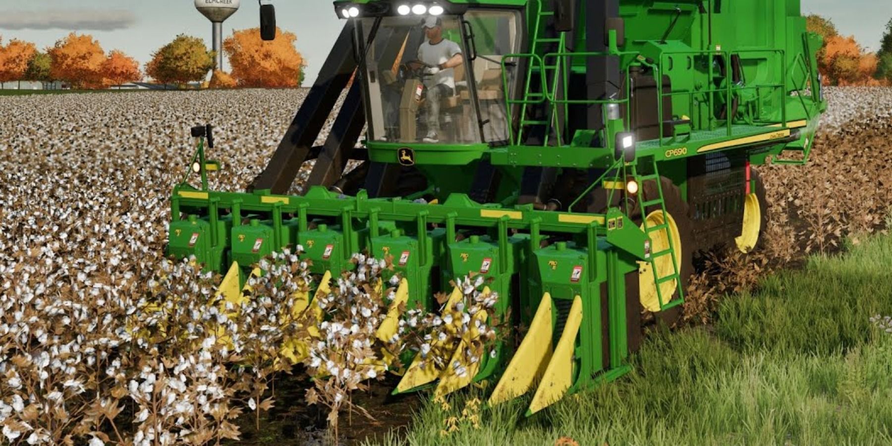 Harvesting Cotton