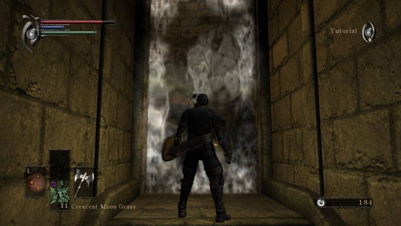 Demon's Souls Fog Wall