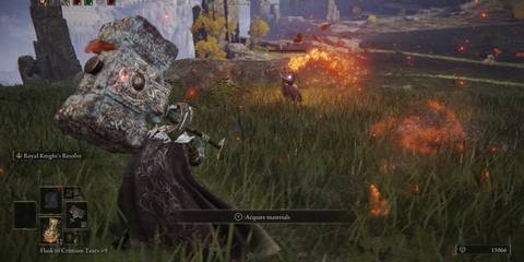 Elden Ring Briars Of Sin Enemy