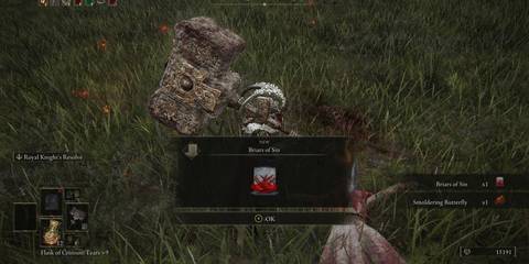 Elden Ring Briars Of Sin Pickup