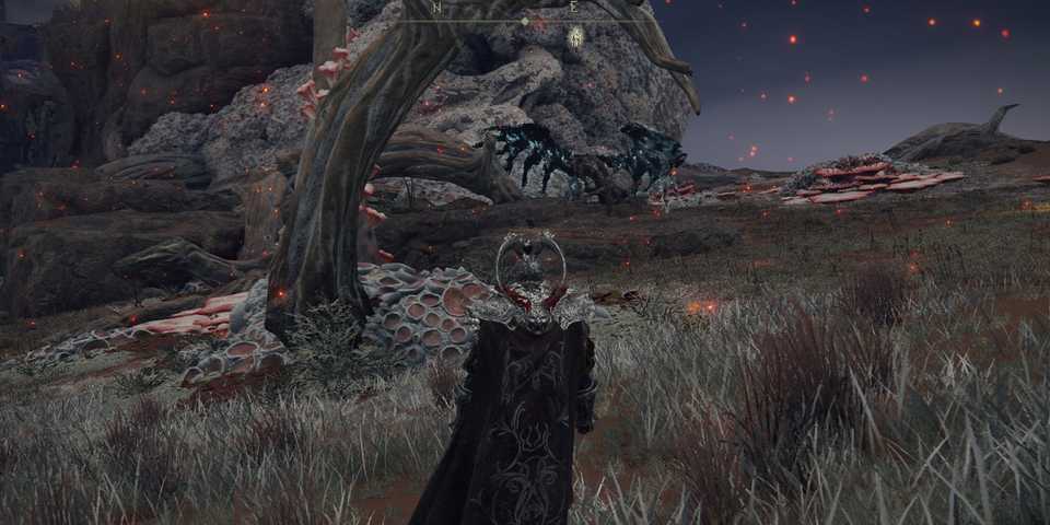 Elden Ring Death Rite Bird Caelid