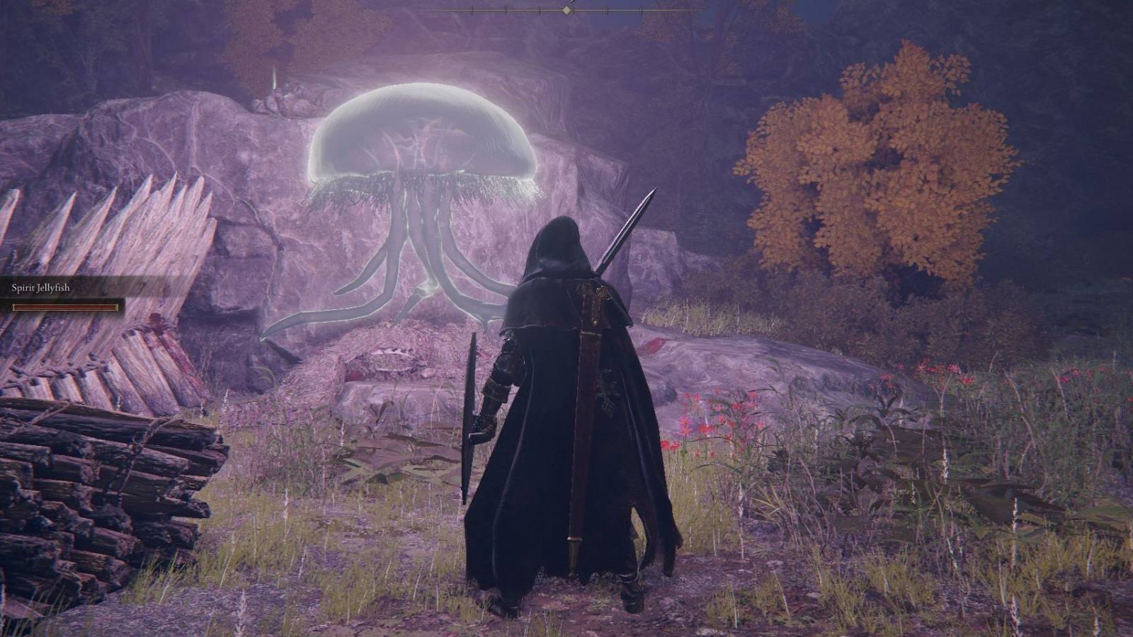 Elden Ring Player Discovers Sad Detail About Aurelia and Her Sister