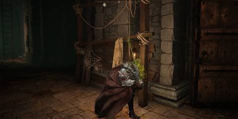 Elden Ring Poison Moth Flight Clean Windup