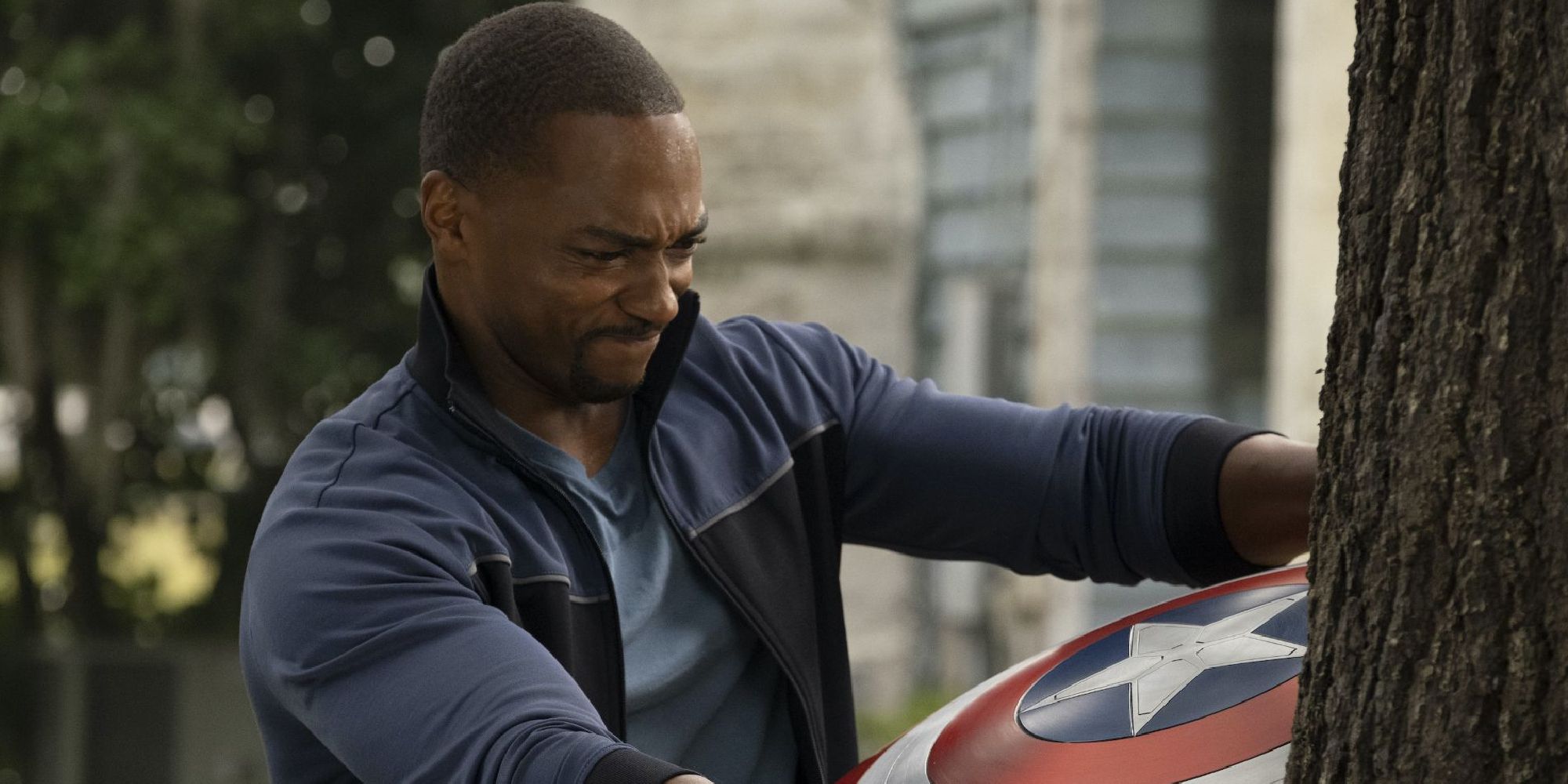 Sam Wilson pulling the Captain America shield out of a tree in Falcon & Winter Soldier