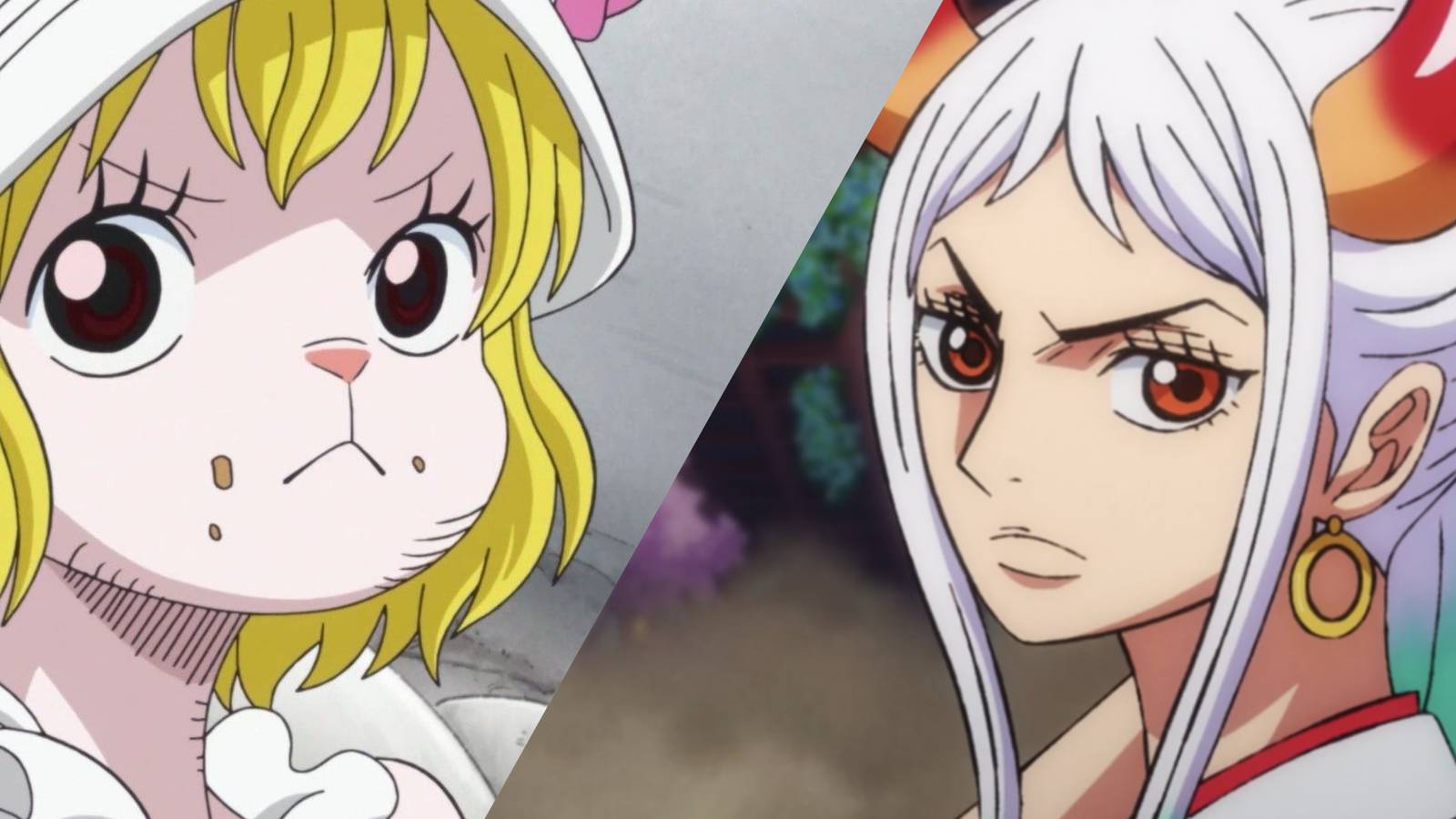 Featured Who Will Join Straw Hats After Wano Yamato Carrot