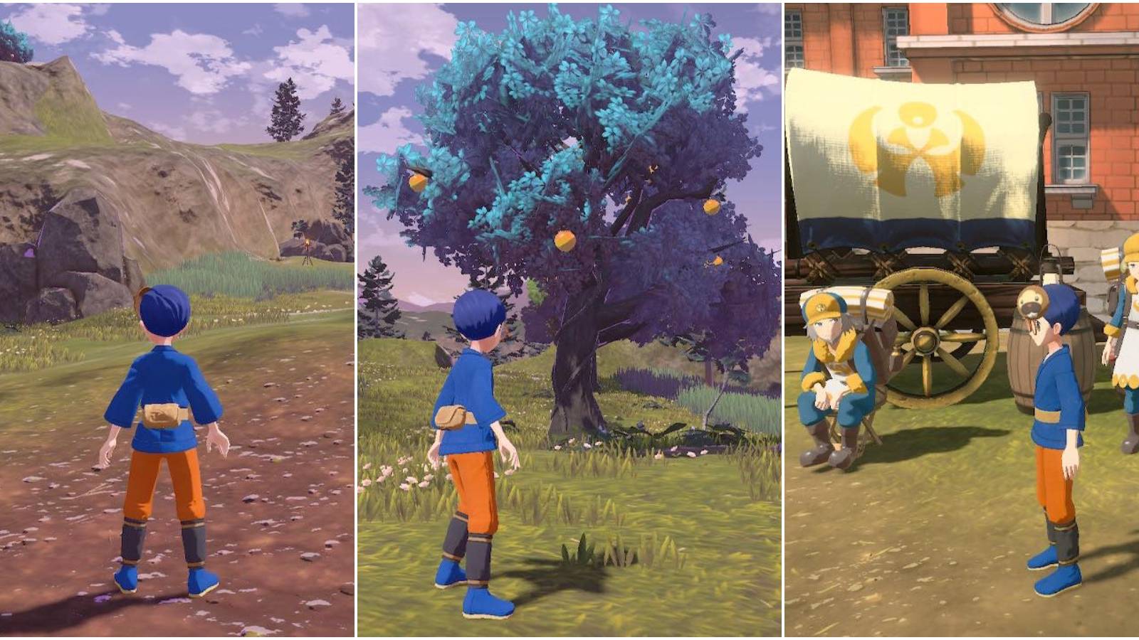 Featured image for Pokemon Legends Arceus Request 13 guide