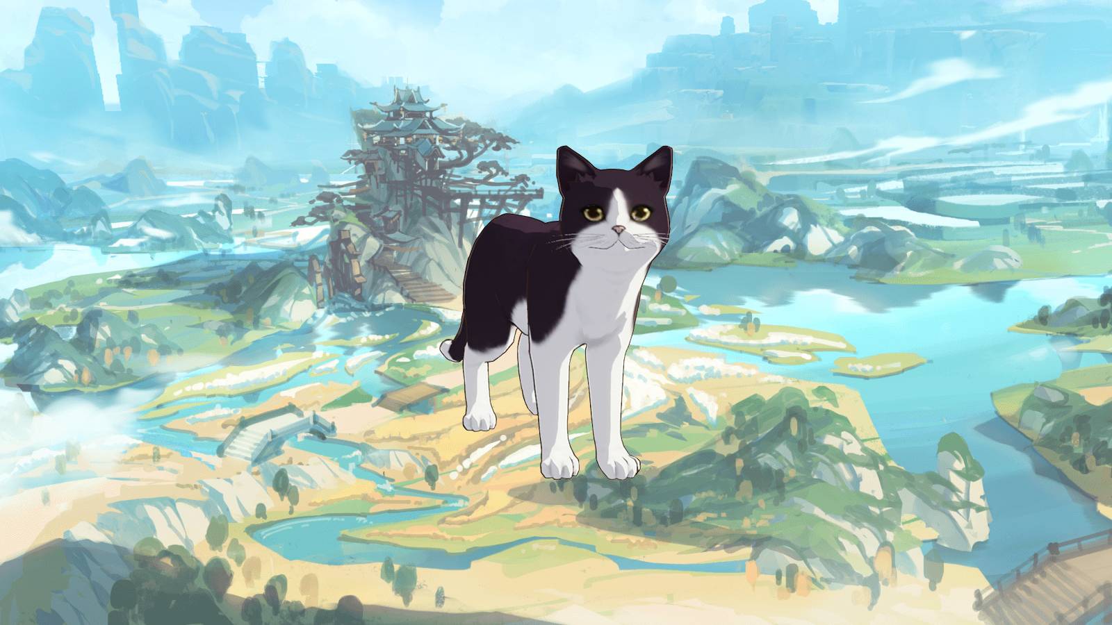 Genshin Impact - Cat