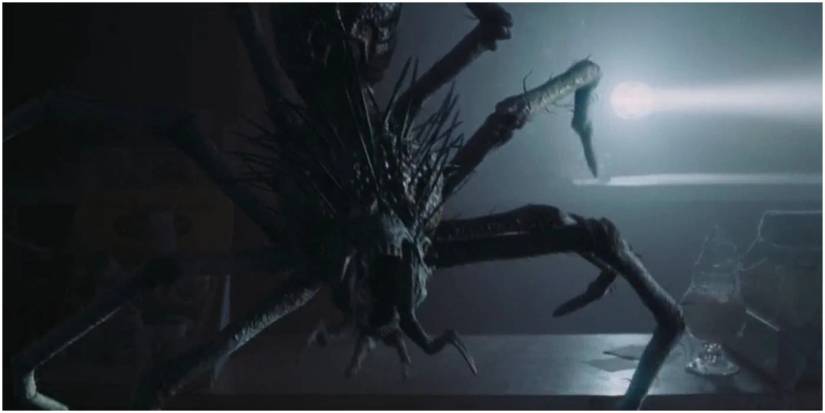 Gray Widower from The Mist