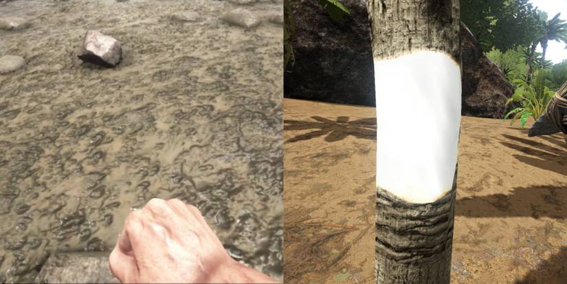 How To Get The Ingredients For The Preserving Bin