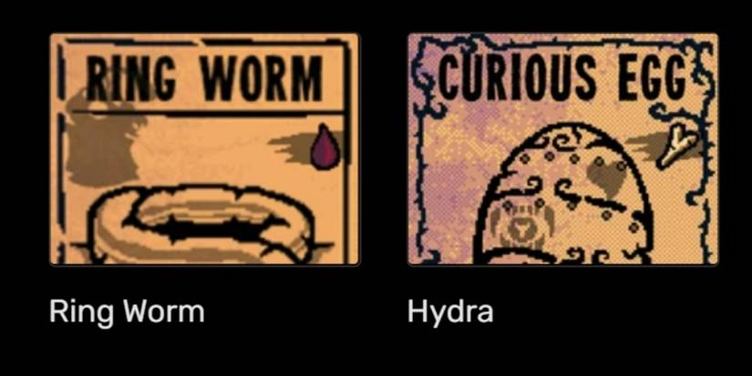 Creatures from the Insect Tribe in Inscryption