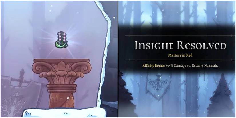 Insight Matter in Red and Lilly of the Valley Relic from Rogue Legacy 2.