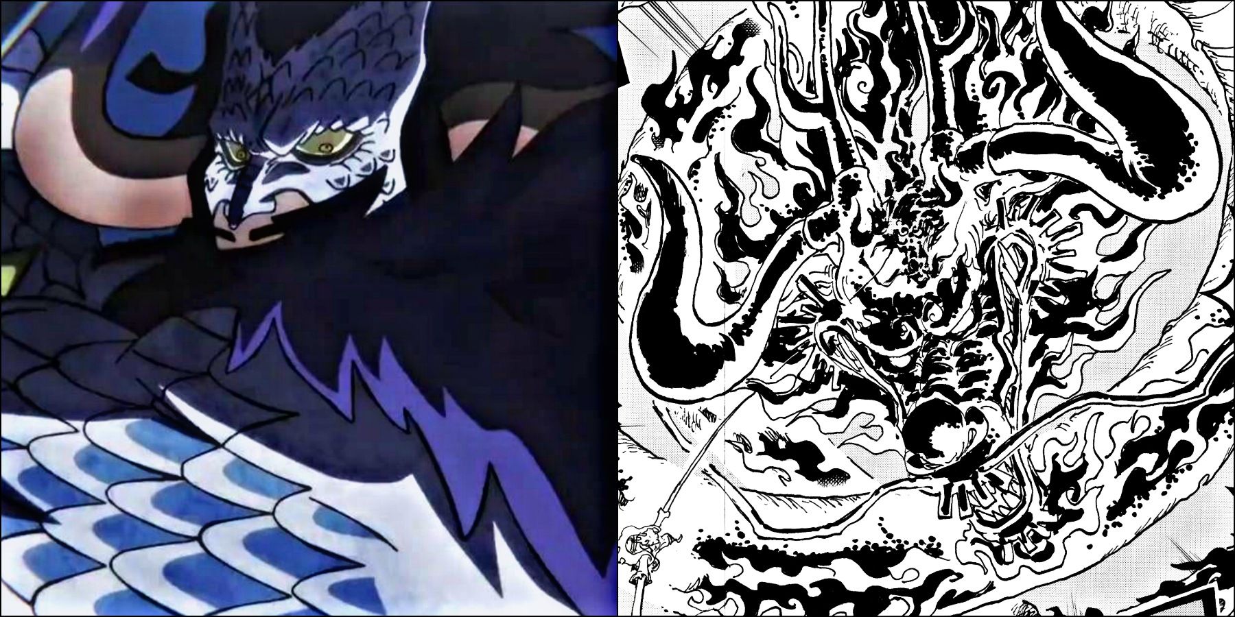 Is Kaido originally a dragon who ate human human fruit model beast/demon or  something like that? - Quora