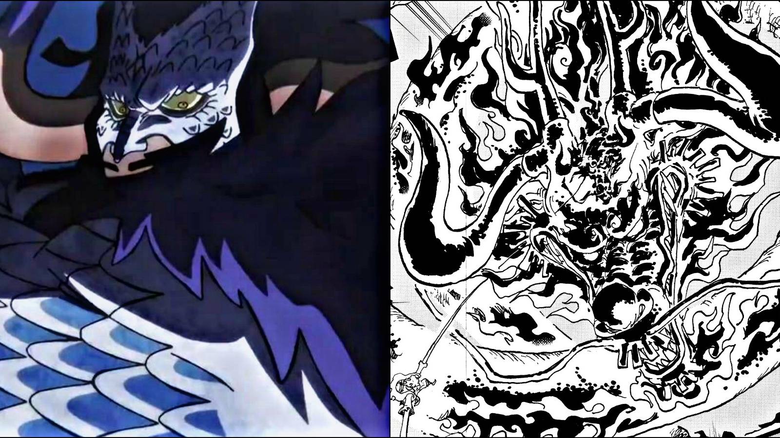 Kaido Devil Fruit Forms