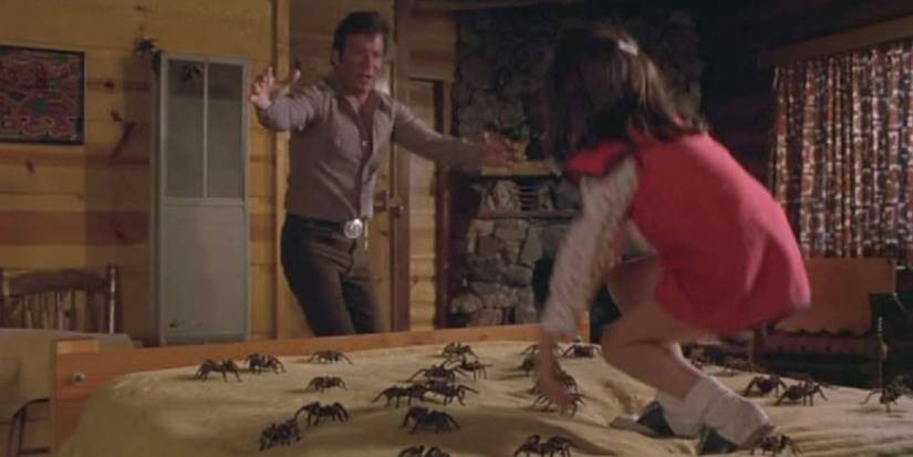 Kingdom Of The Spiders