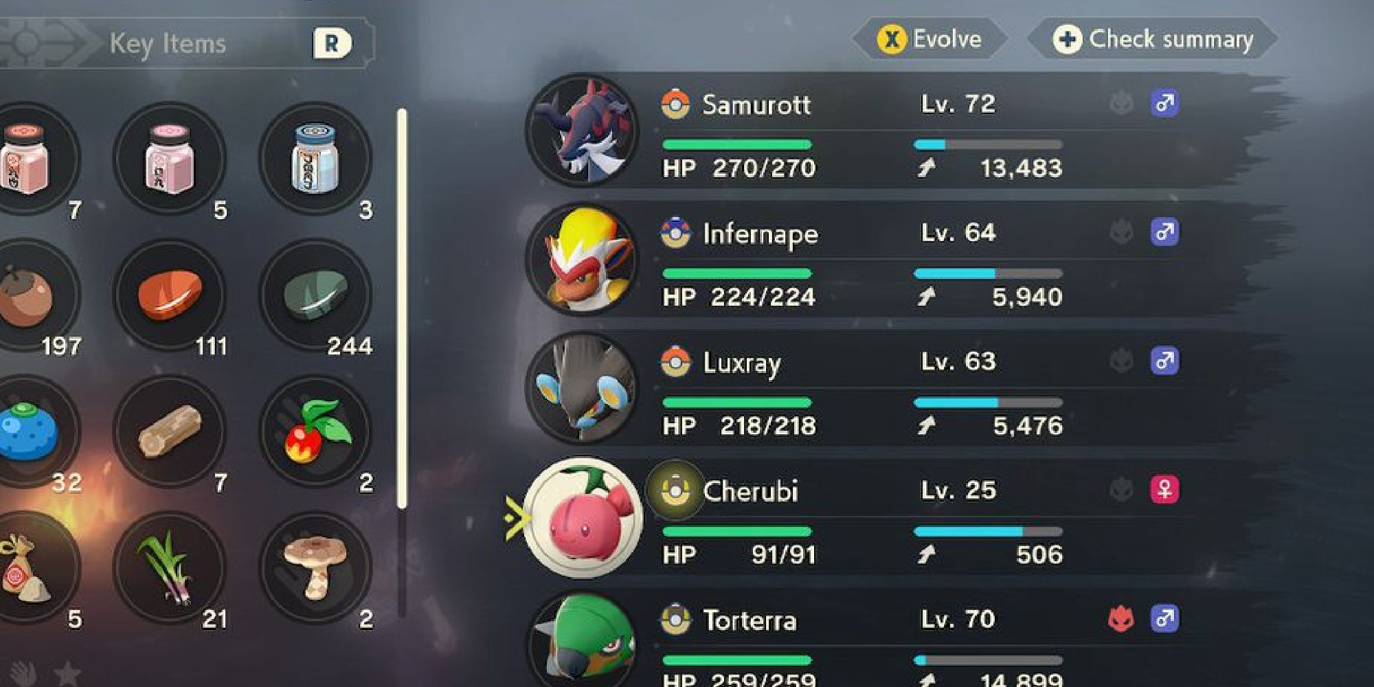 A player's Pokemon team consisting of Samurott, Infernape, Luxray, Cherubi, and Torterra, with Cherubi ready to evolve