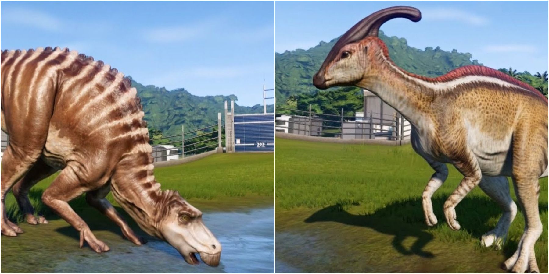 Динозавры майазавры и паразауролофы в Jurassic World Evolution 2.