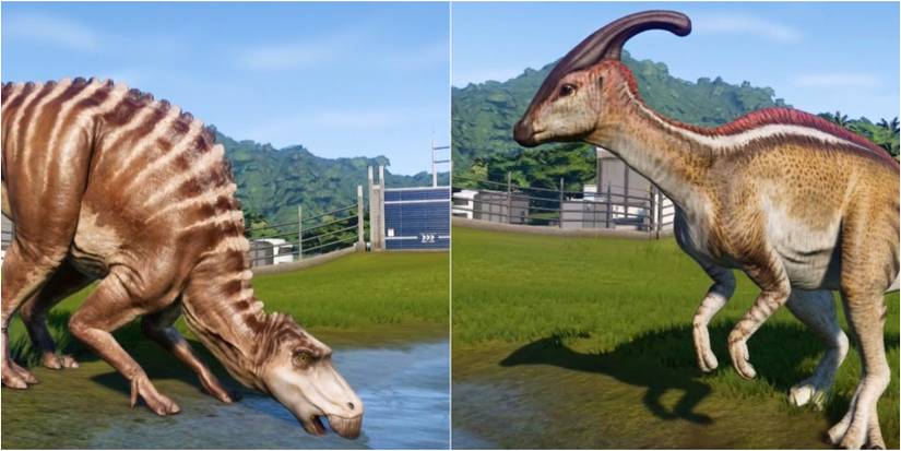 Maiasaura and Parasaurolophus dinosaurs in Jurassic World Evolution 2.