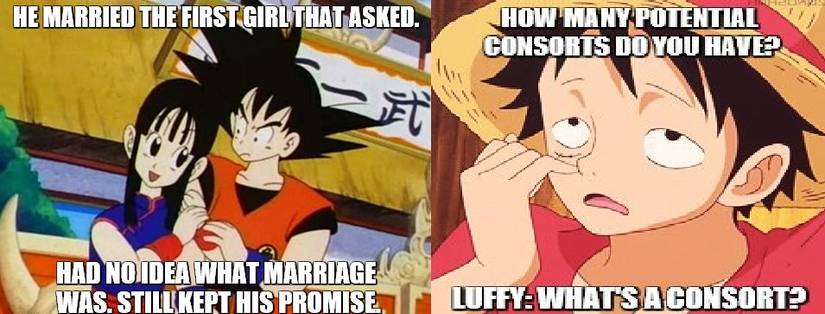 Marriage in One Piece and Dragon Ball