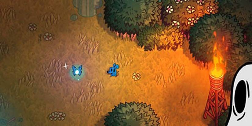 Nobody Saves The World Fairy