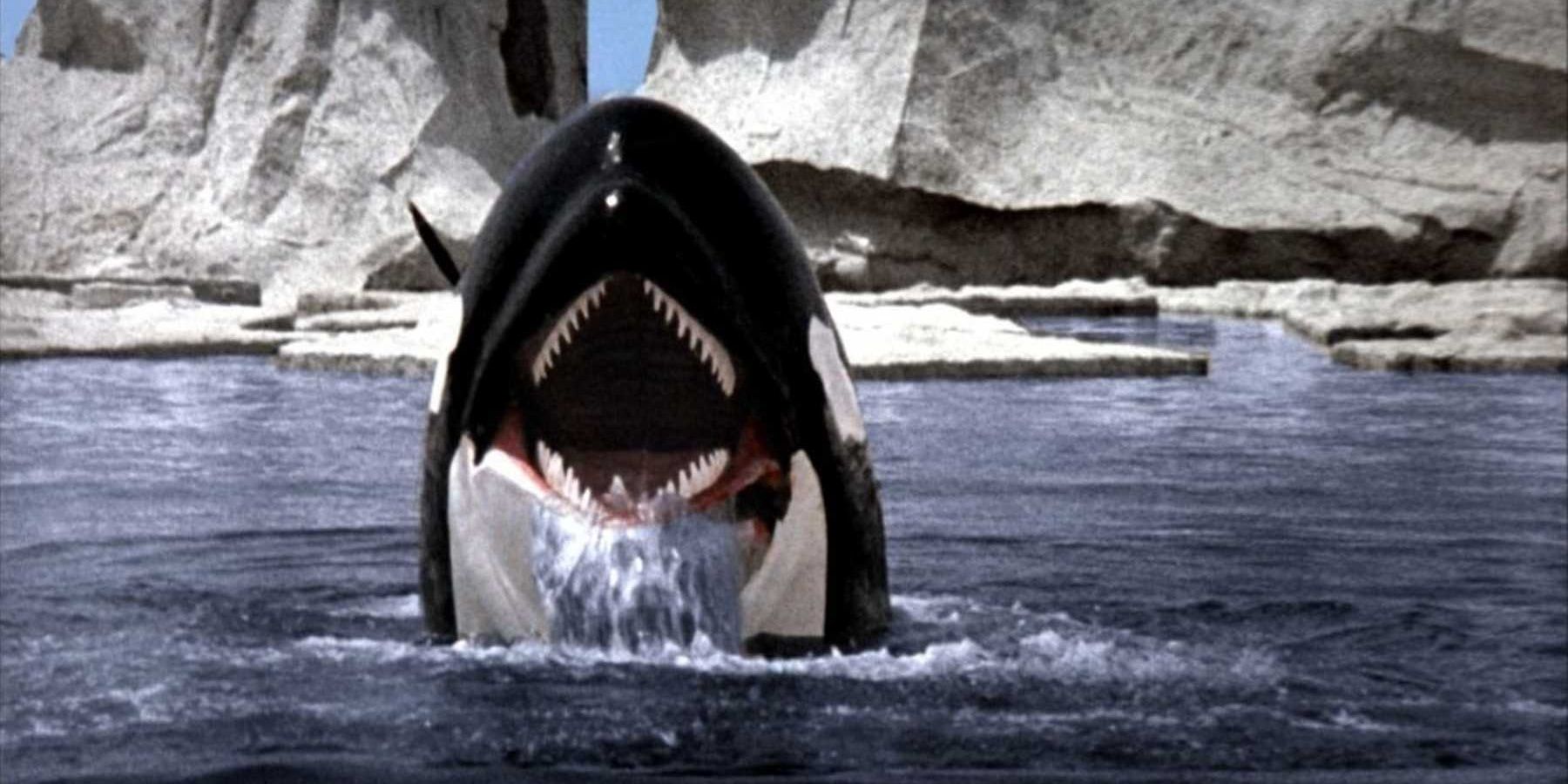 Orca-movie Cropped
