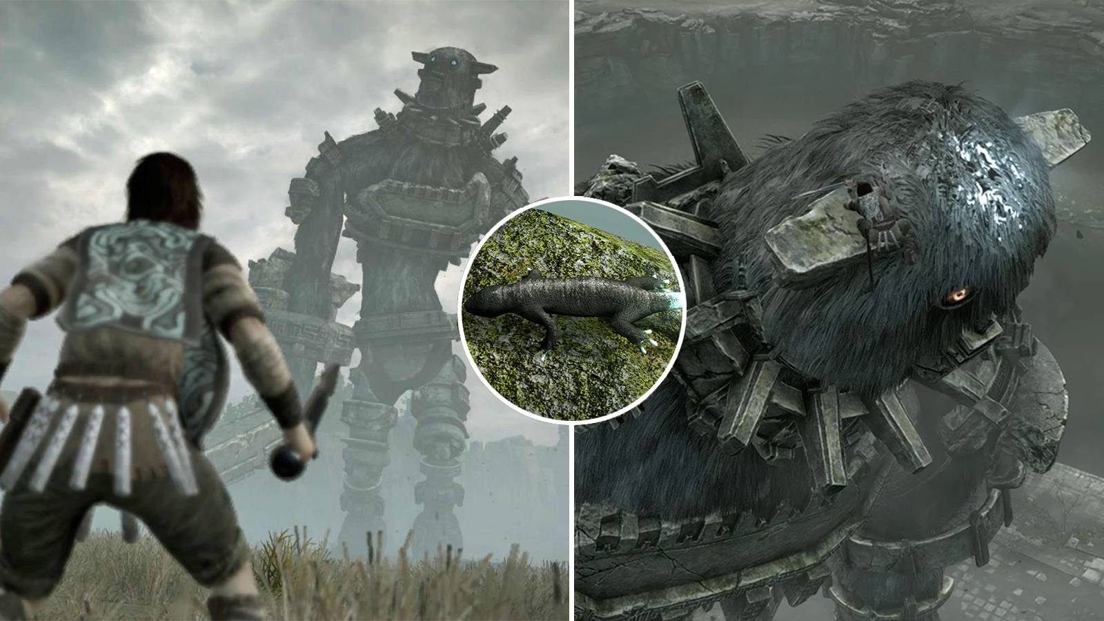 PHotoshopShadowOfColossusStamina