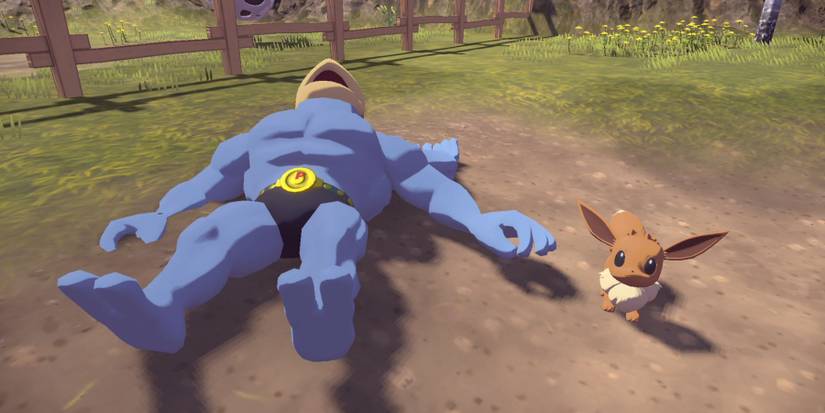 Pokemon Legends: Arceus New Game Plus