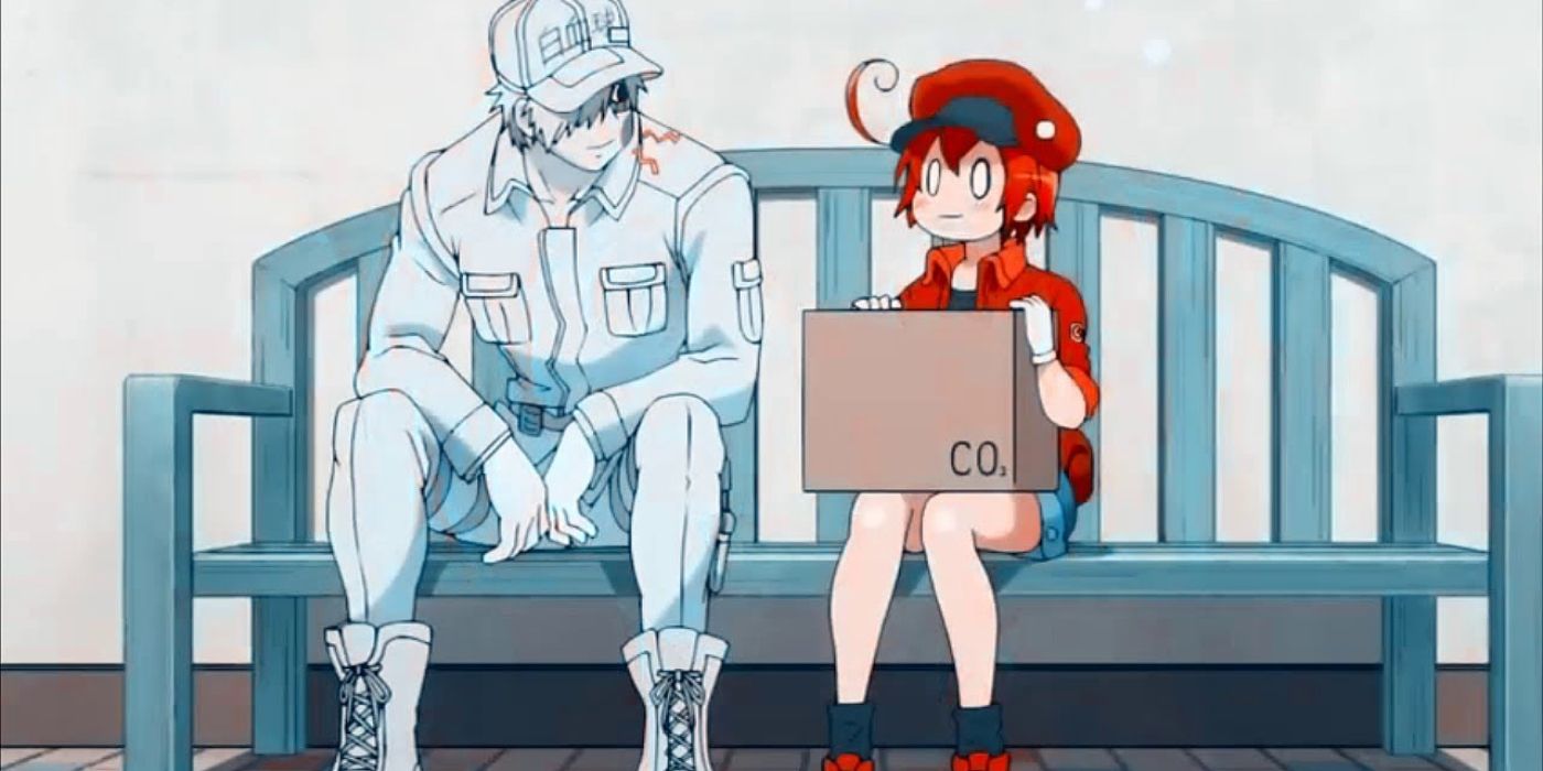 Red Blood Cell AE-3803 speaking with White Blood Cell U-1146