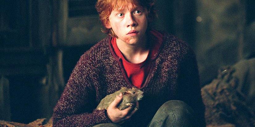 Ron Weasley and Scabbers in the Shrieking Shack in Harry Potter and the Prisoner of Azkaban.