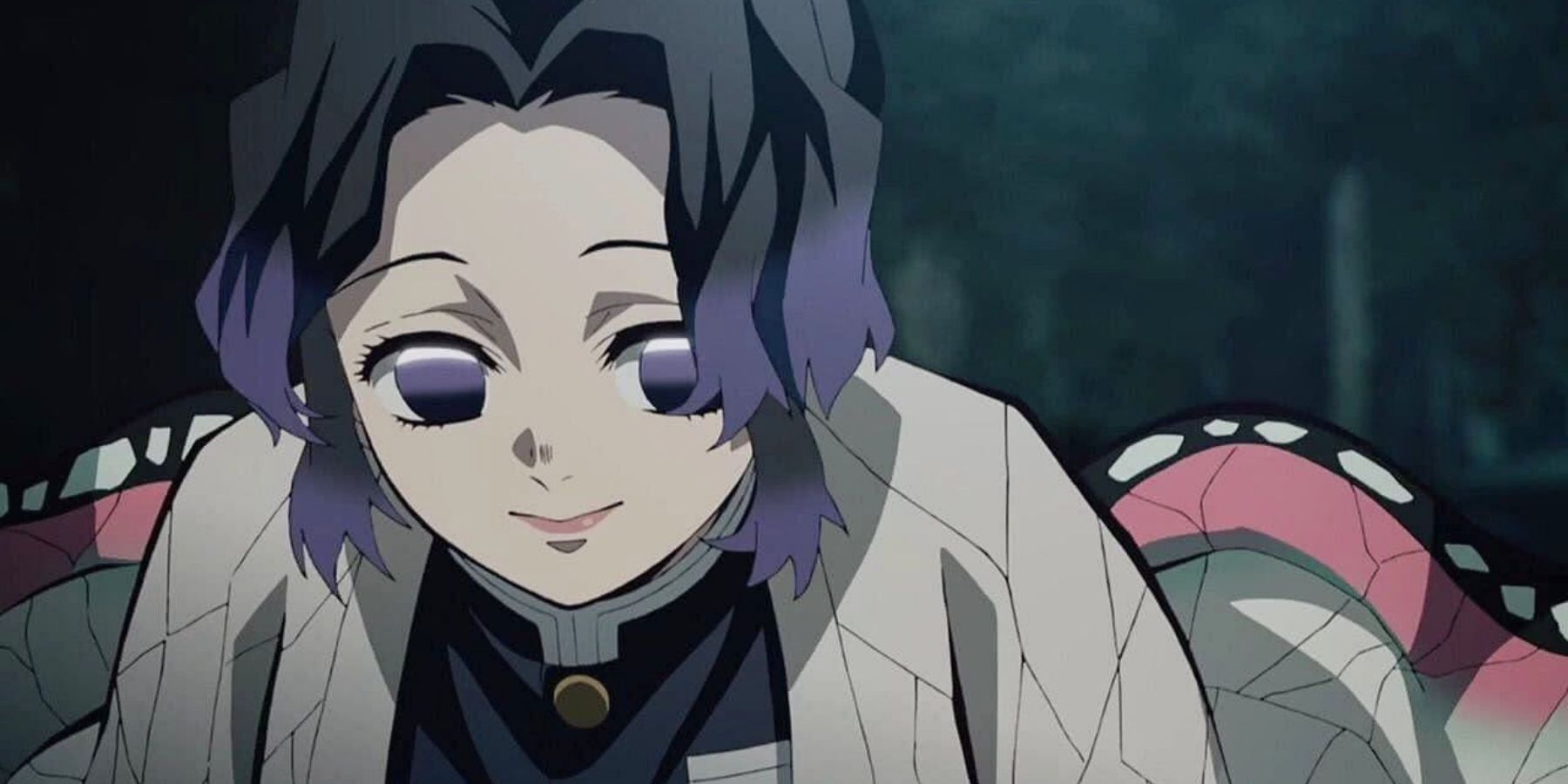 Demon Slayer: Everything To Know About Shinobu, the Insect Hashira