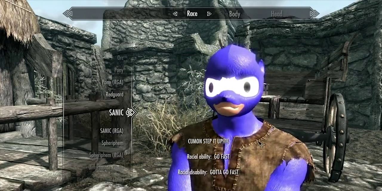 Sanic race at character creation section in Skyrim. Image source: Reddit.com