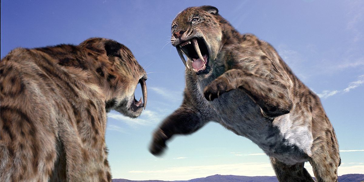 Smilodon in Walking with Beasts