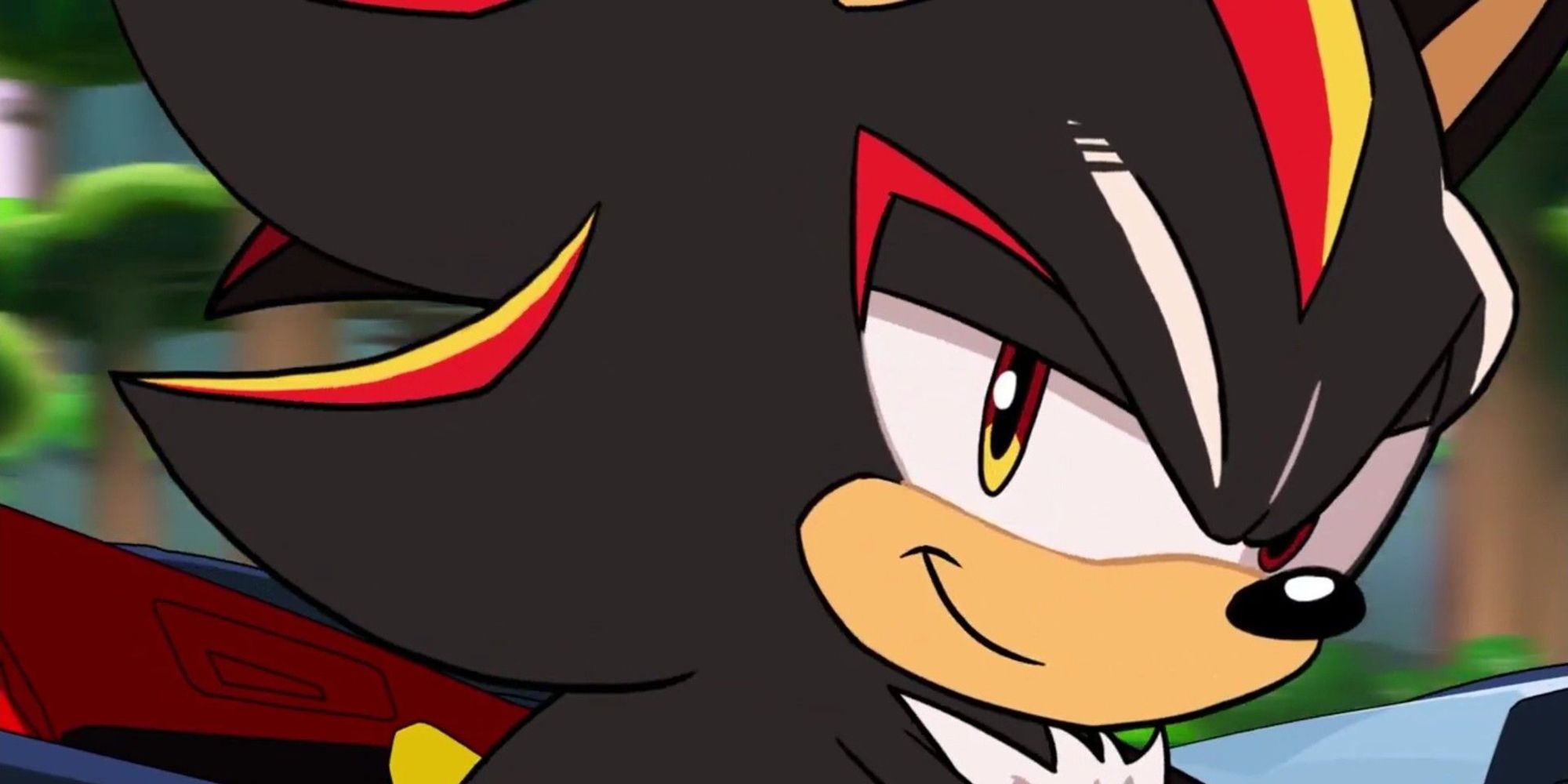 Shadow The Hedgehog